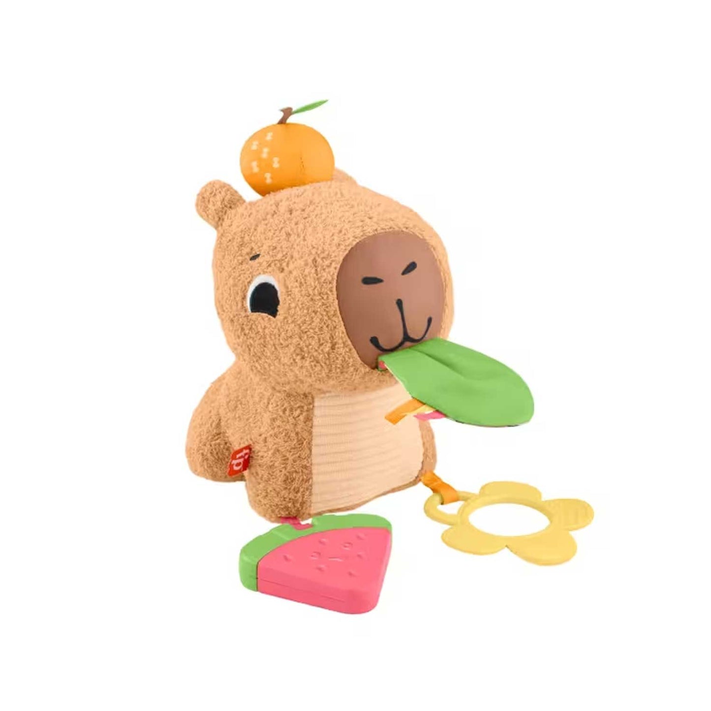 Fisher Price - Marmotta Coccole E Merenda HYR54