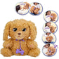 IMC - Baby Paws Love & Care Labradoodle