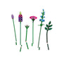 Lego - Icons Bouquet wild flowers 10313